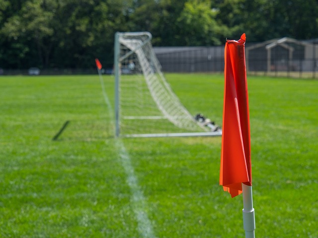 社会责任感 社会责任感