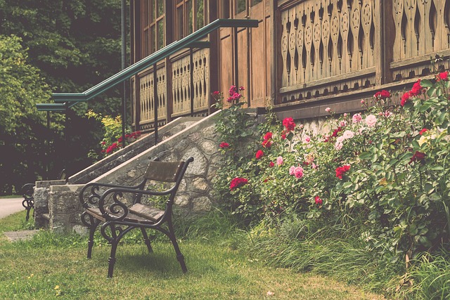 尼克斯的防 尼克斯的防