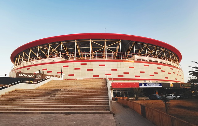 的加分項之 的加分項之