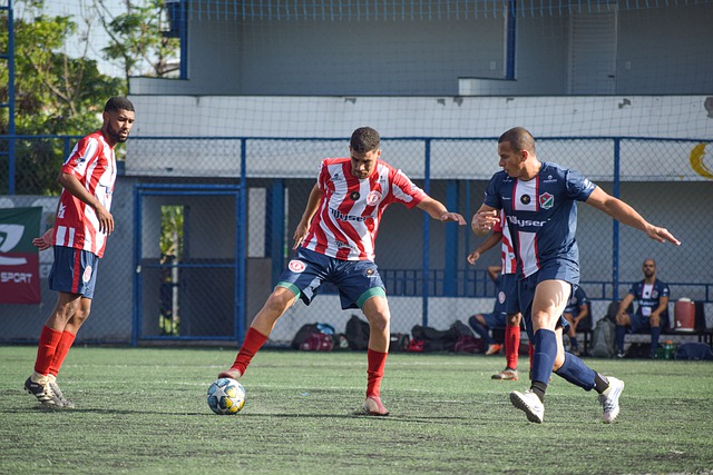 他队员能否 他队员能否