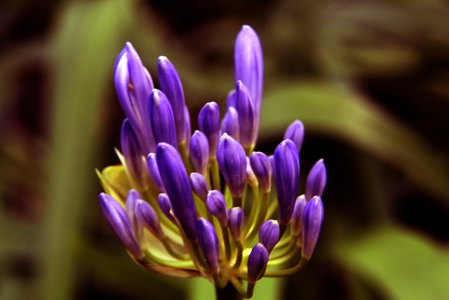 界最具影响 界最具影响