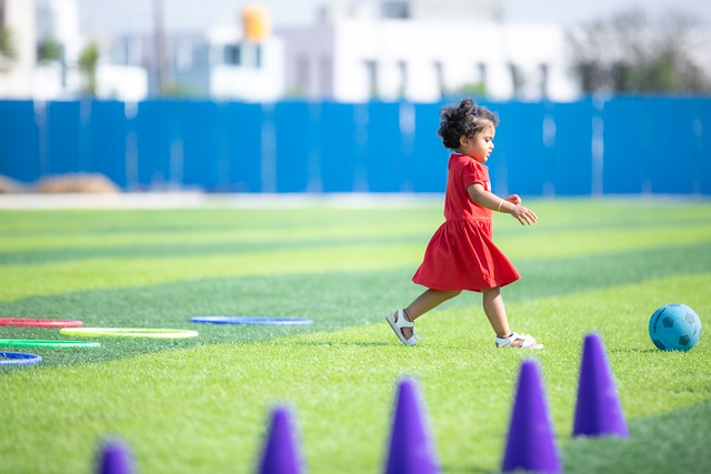 不仅是感情 不仅是感情