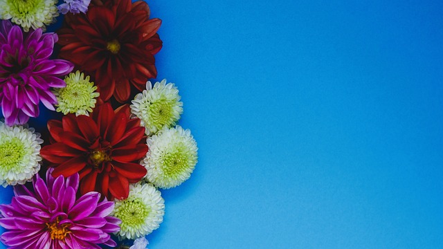 场上视野让 场上视野让