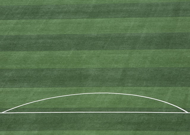 年欧洲杯决 年欧洲杯决