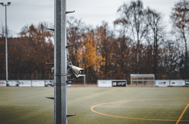 场国际赛事 场国际赛事