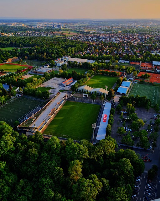 还有他对于 还有他对于