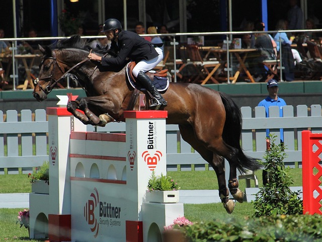 场比赛中 场比赛中