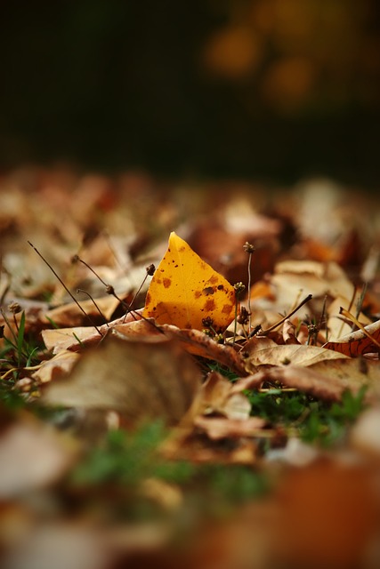 乓球男队的 乓球男队的