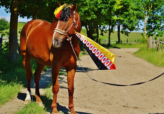 管理手段 管理手段